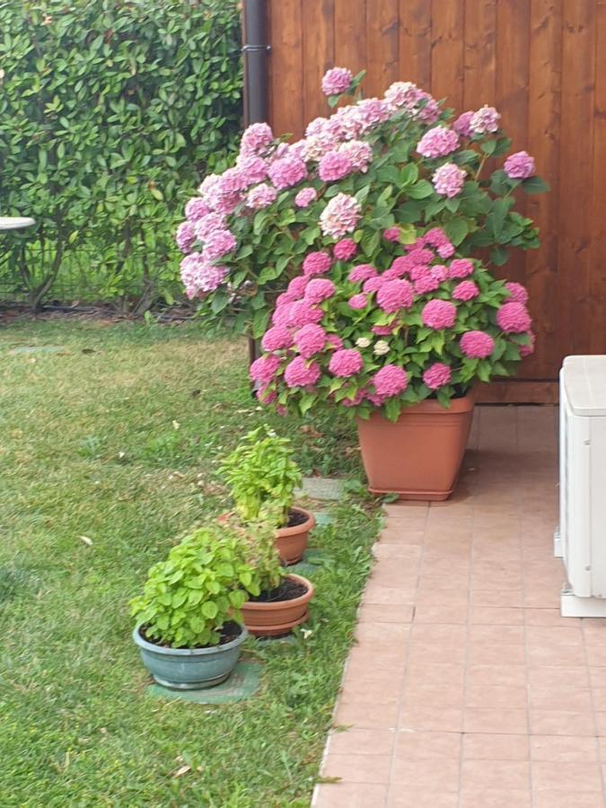 Casa Vacanze Da Riki ペスキエーラ・デル・ガルダ エクステリア 写真